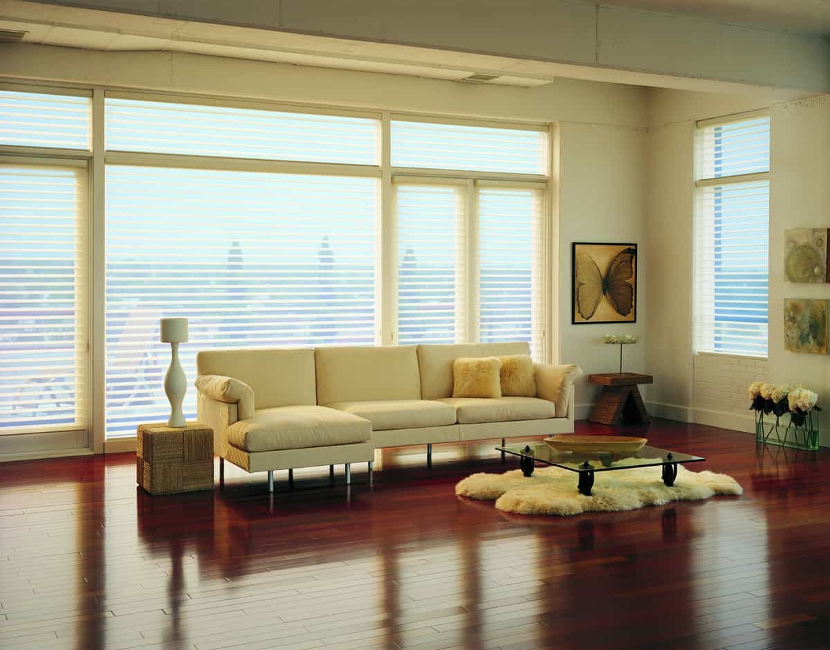 Hunter Douglas Silhouette® Window Shadings for UV ray protection and light control near Alamo, California (CA)