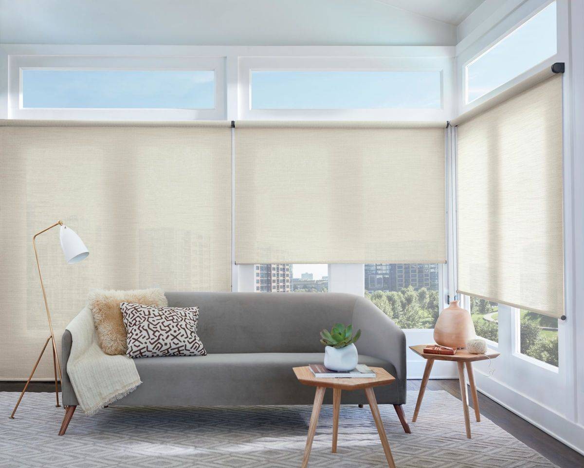 Hunter Douglas Woven Wood Shades decorating a home window near Concord, CA